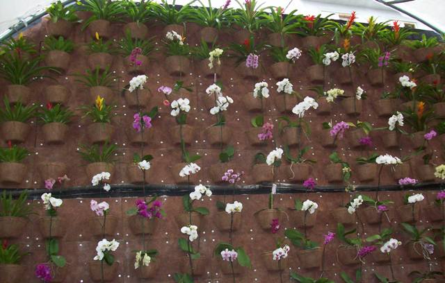 Paisagismo e Jardinagem