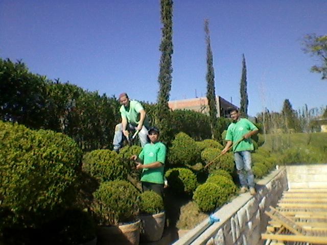 Paisagismo e Jardinagem