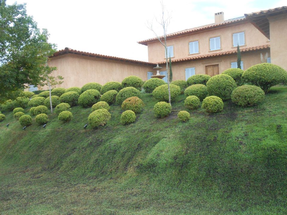 Paisagismo e Jardinagem