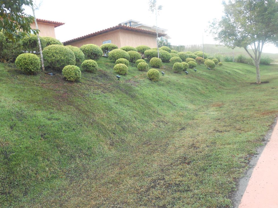 Paisagismo e Jardinagem