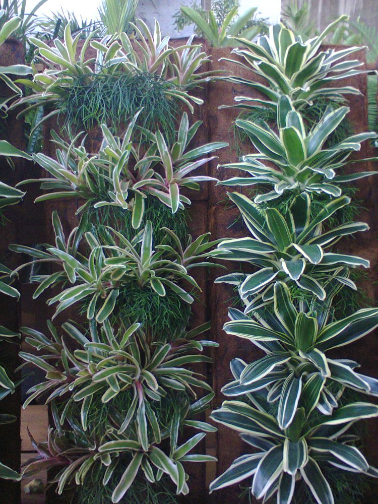 Paisagismo e Jardinagem