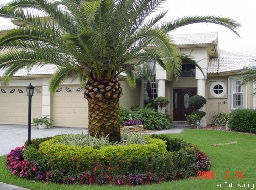 Projetos para Paisagismo e Jardinagem