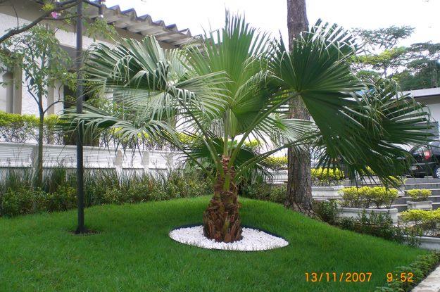 Projetos para Paisagismo e Jardinagem