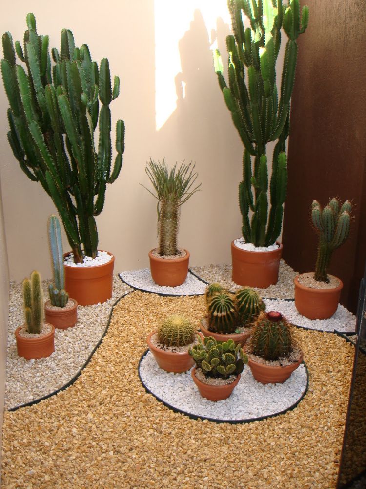 Paisagismo e Jardinagem