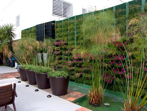 Projetos para Paisagismo e Jardinagem